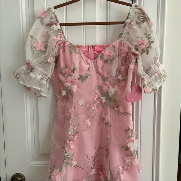 Sugar Thrillz Dresses & Skirts - Dollz Kill X Sugar Thrillz floral embroidery mesh mini dress